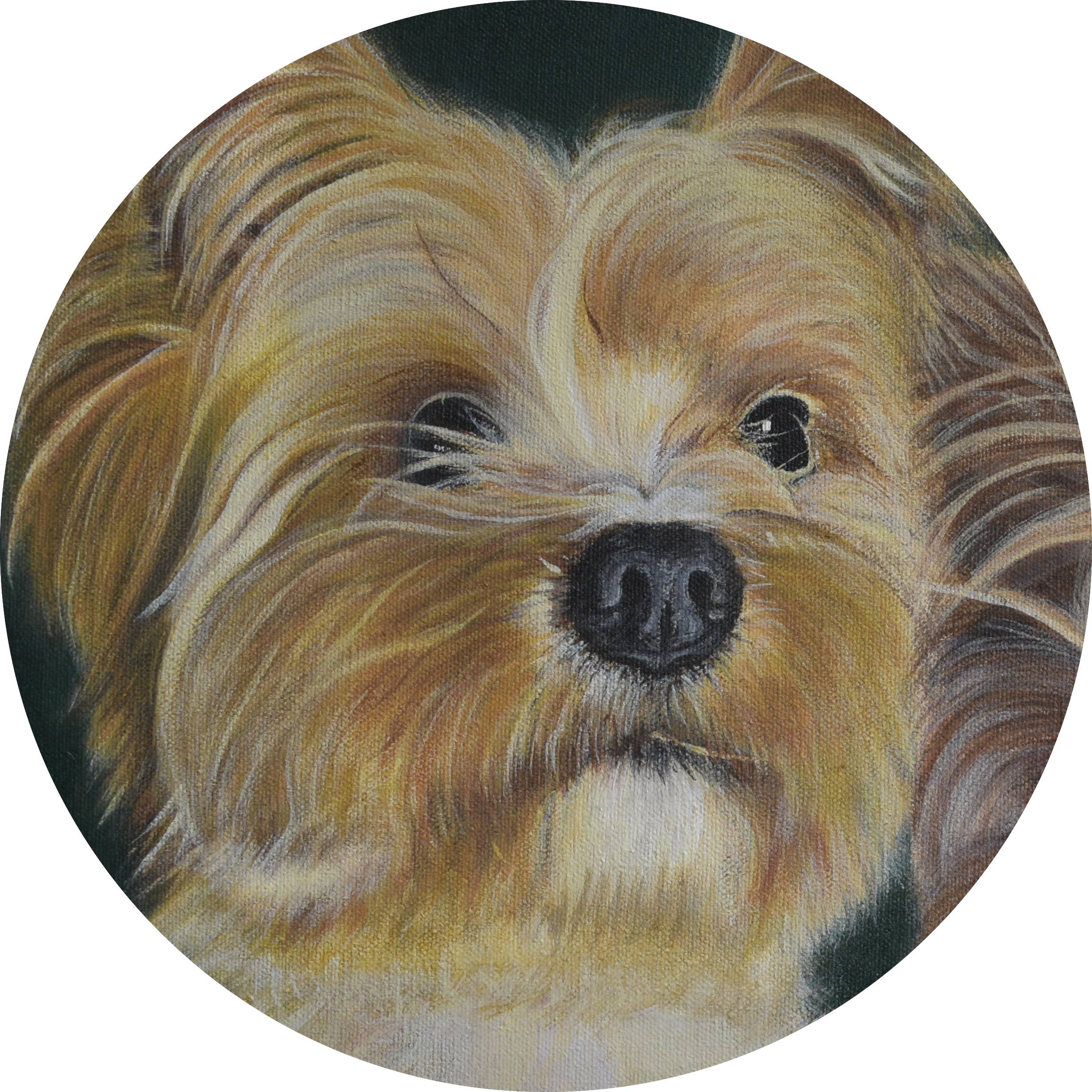 AANG, ACRYLIC, COMMISSION fOR VALENTINE'S DAY, 14” BY 18”, 2021