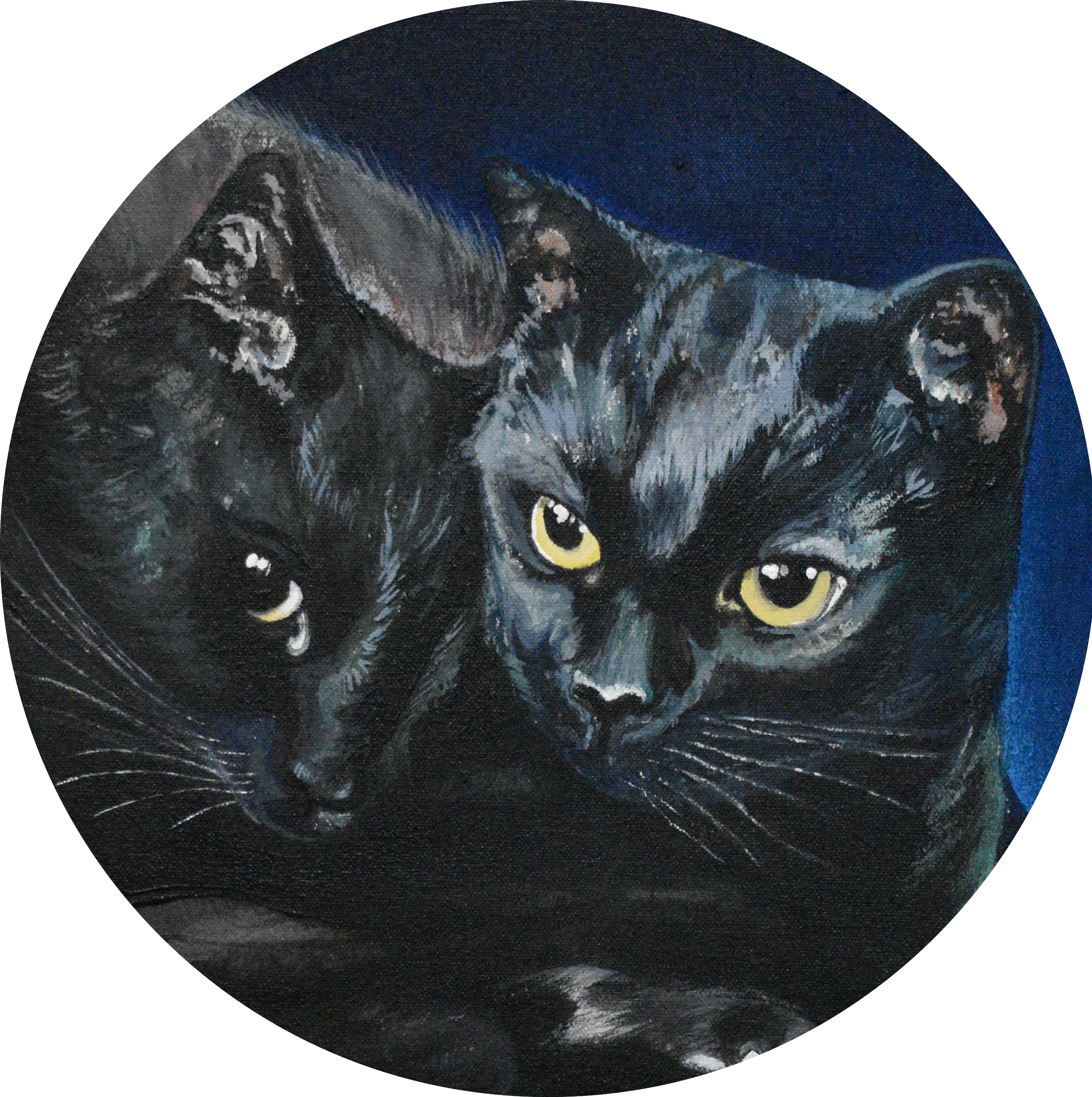 TOW BLACK CATS, ACRYLIC, COMMISSION, 11” BY 14”, 2021